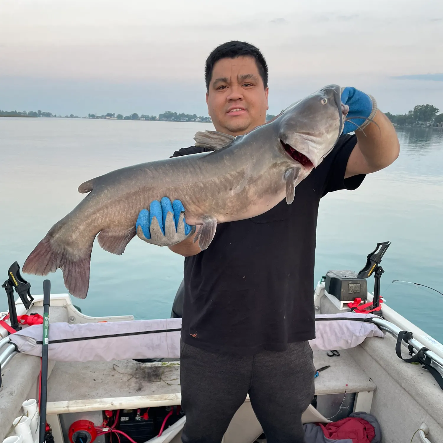 Channel catfish caught on Fishbrain