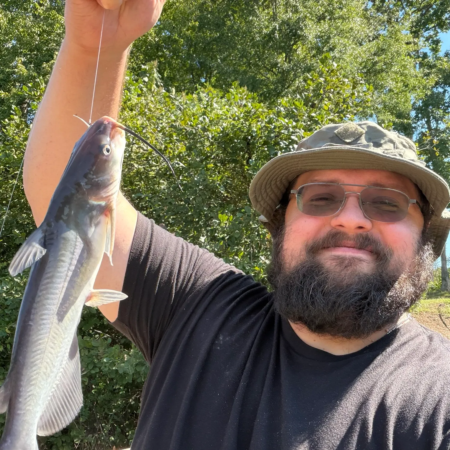 Channel catfish caught on Fishbrain