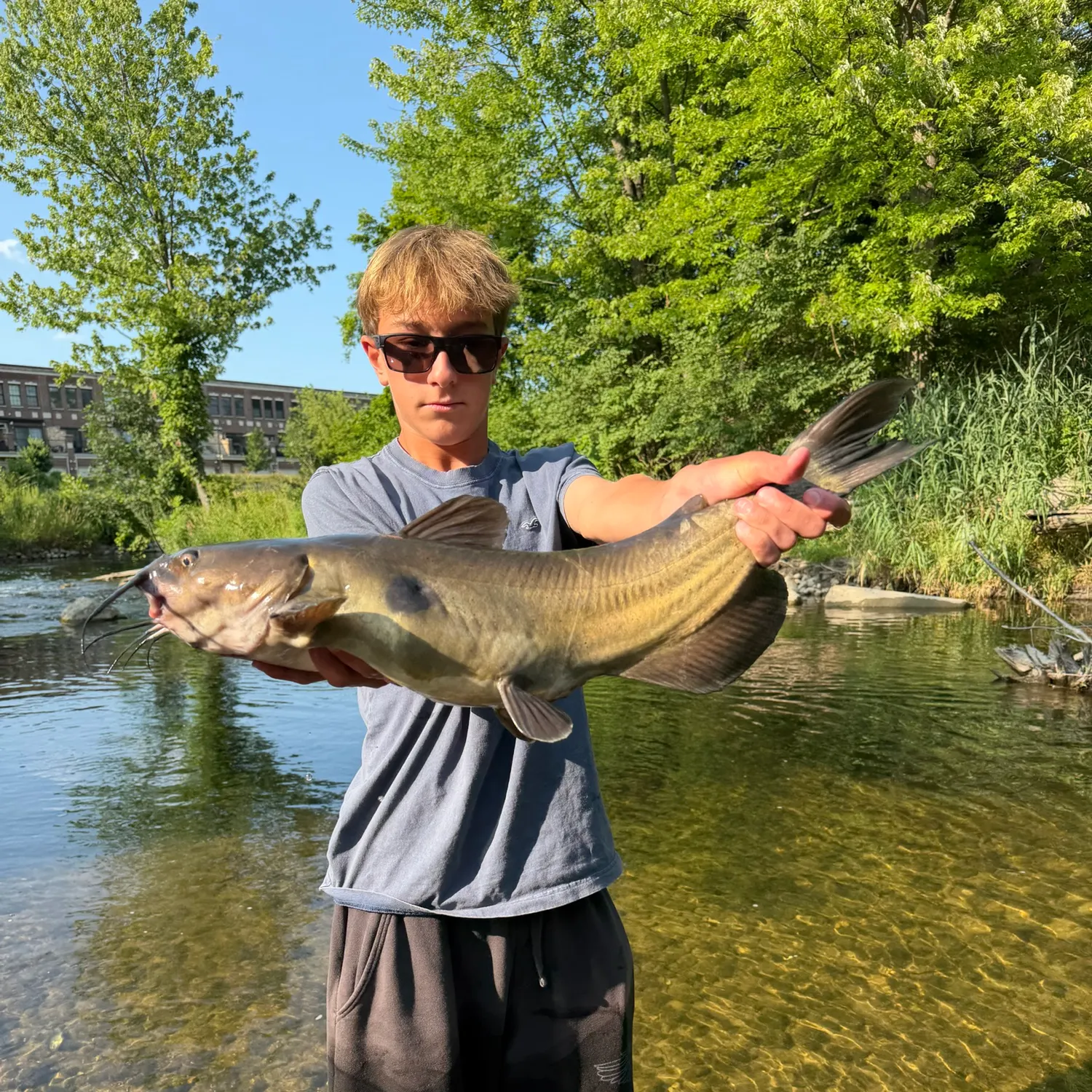 catch