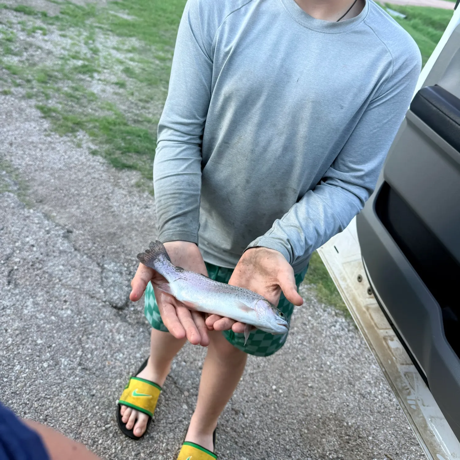 Rainbow trout caught on Fishbrain