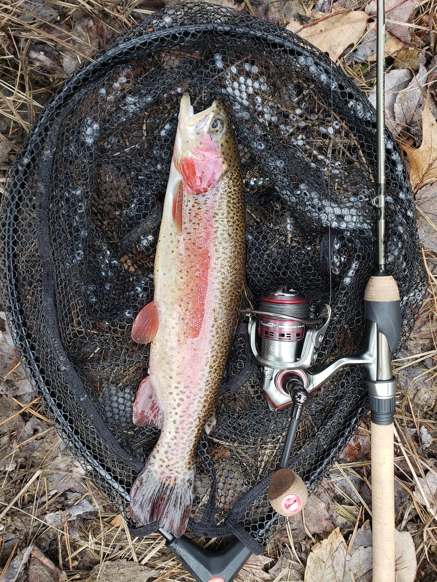 Post image from Freki