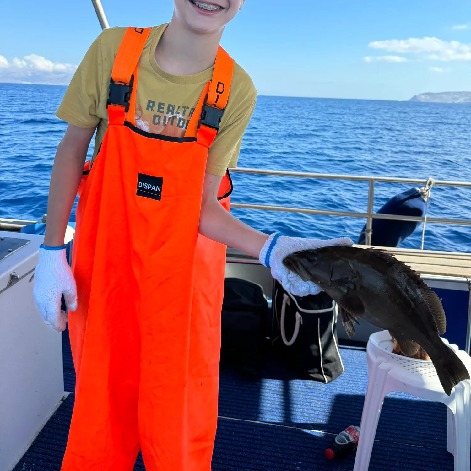 Atlantic goliath grouper caught on Fishbrain