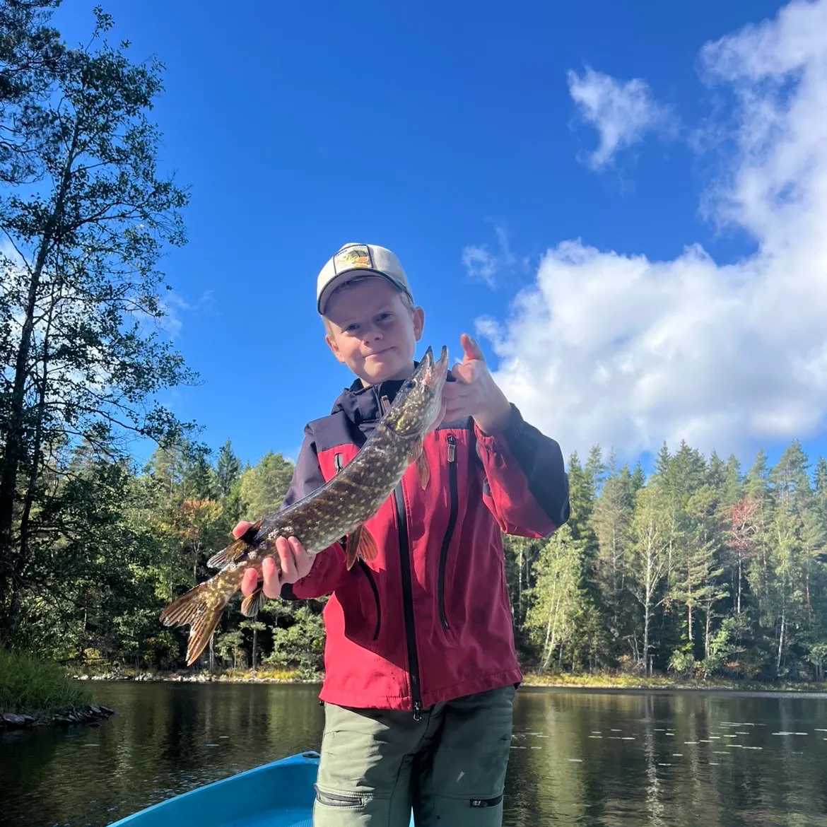 Northern pike caught on Fishbrain