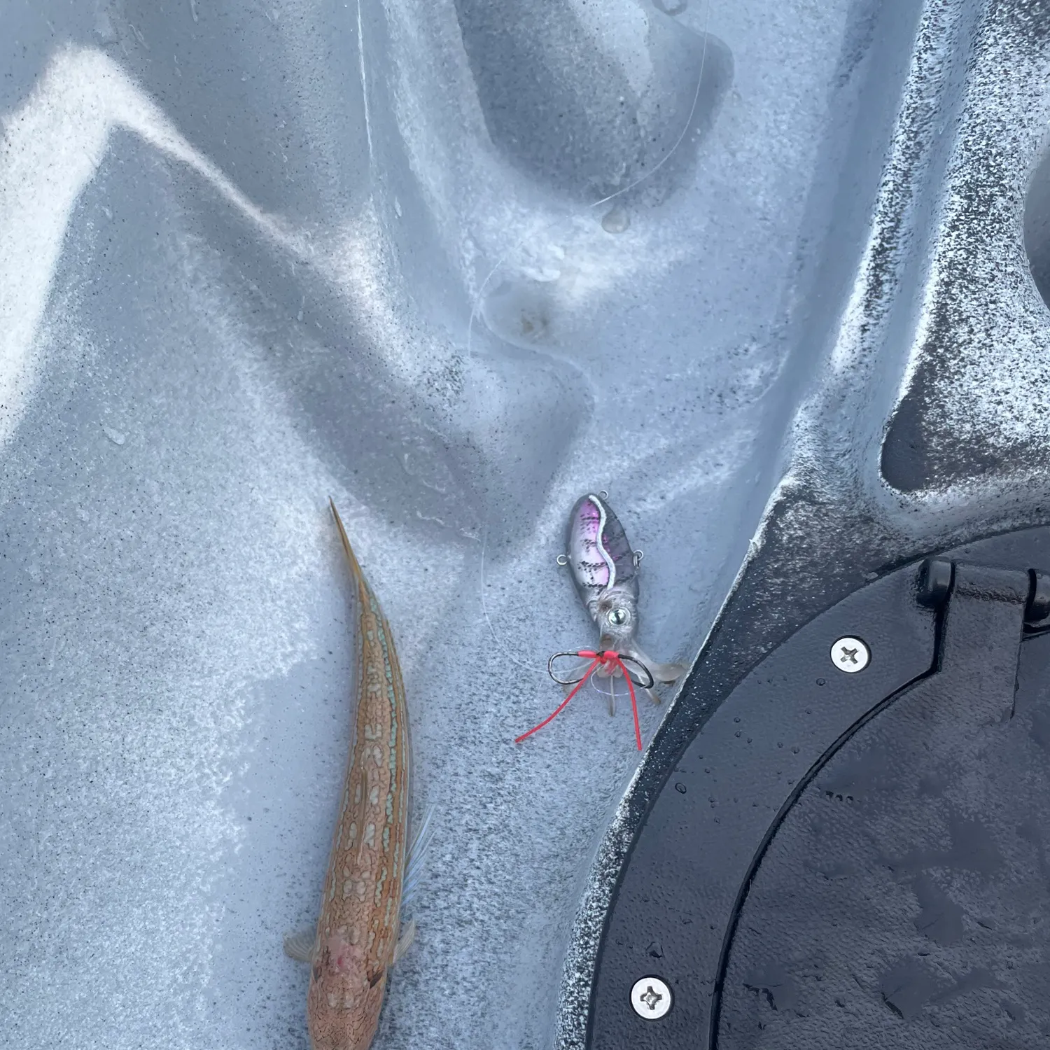 The most recent Sleepy goby catches on Fishbrain