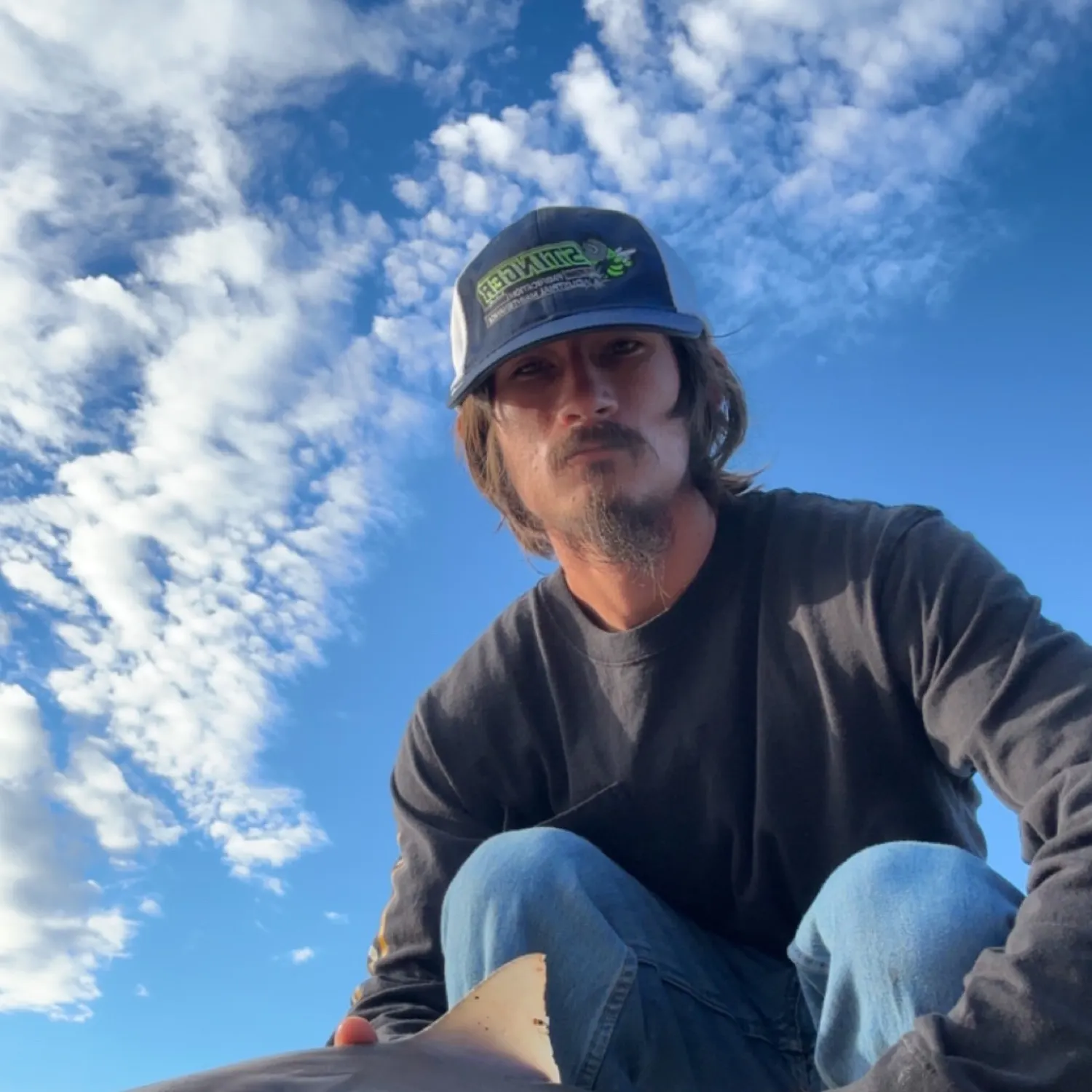 The most recent Sandbar shark catches on Fishbrain