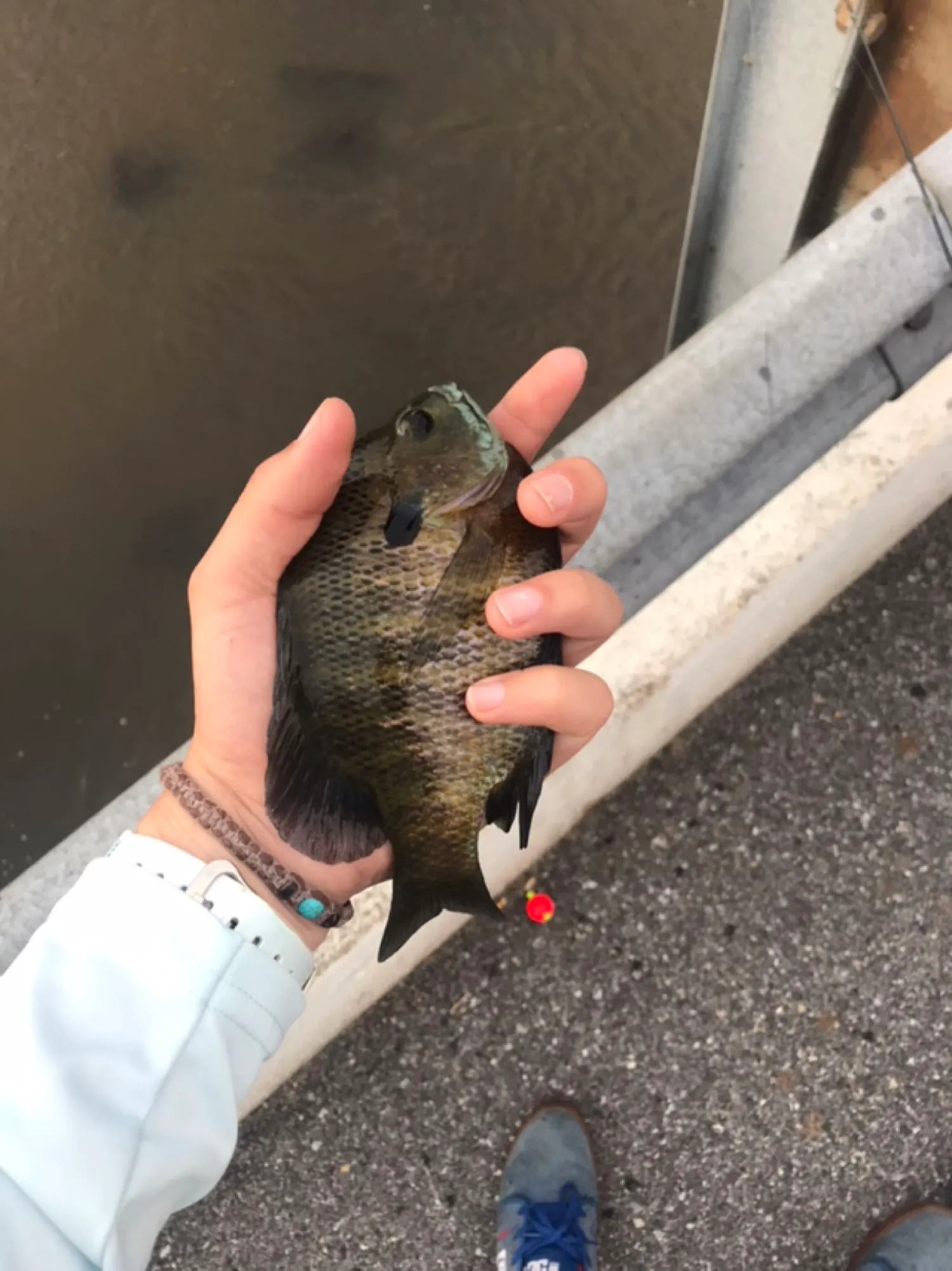 Post image from matt.andrews