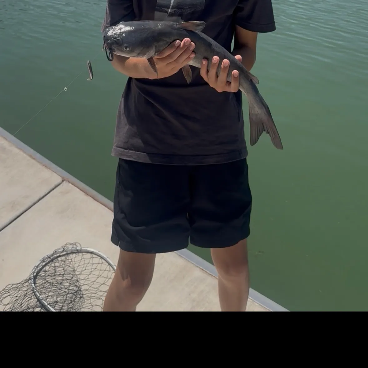 Channel catfish caught on Fishbrain