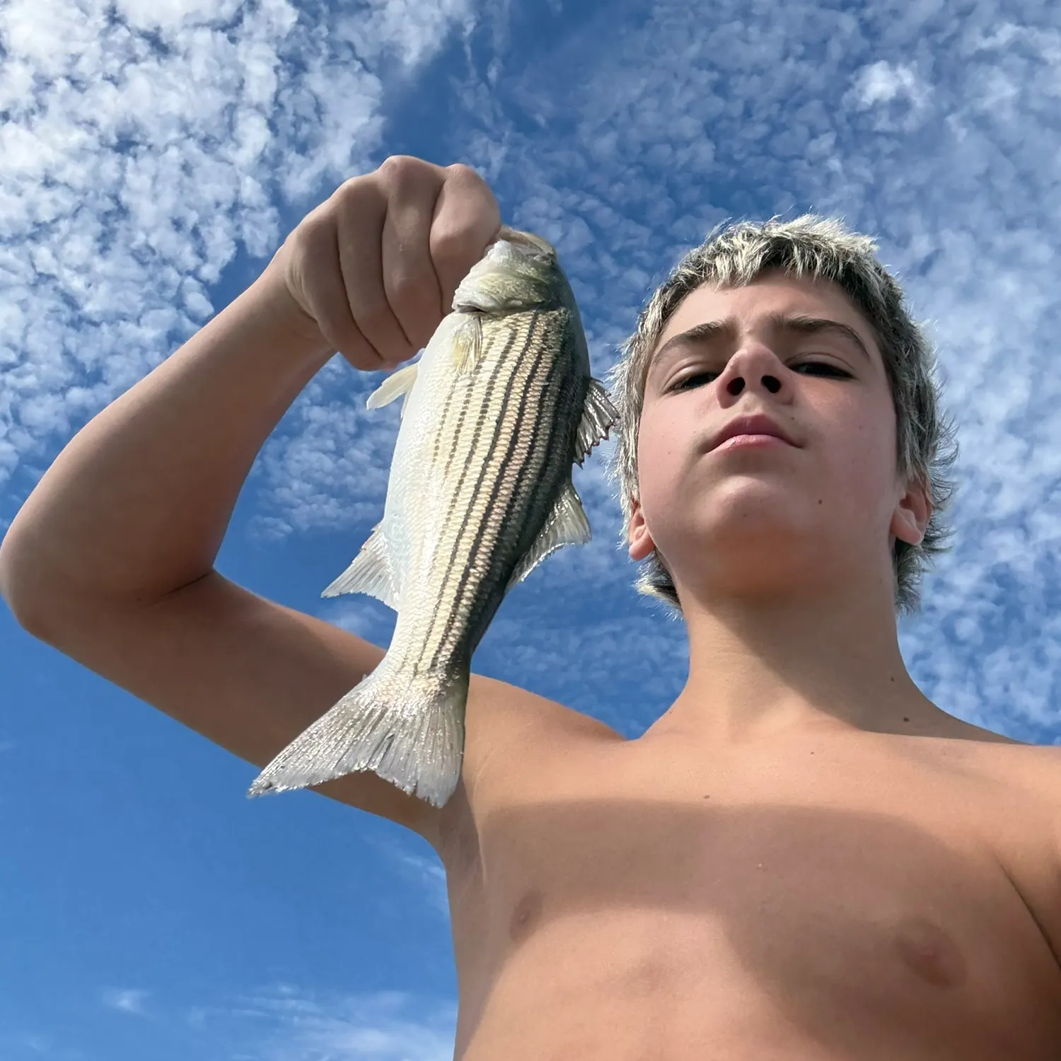 Striped bass caught on Fishbrain