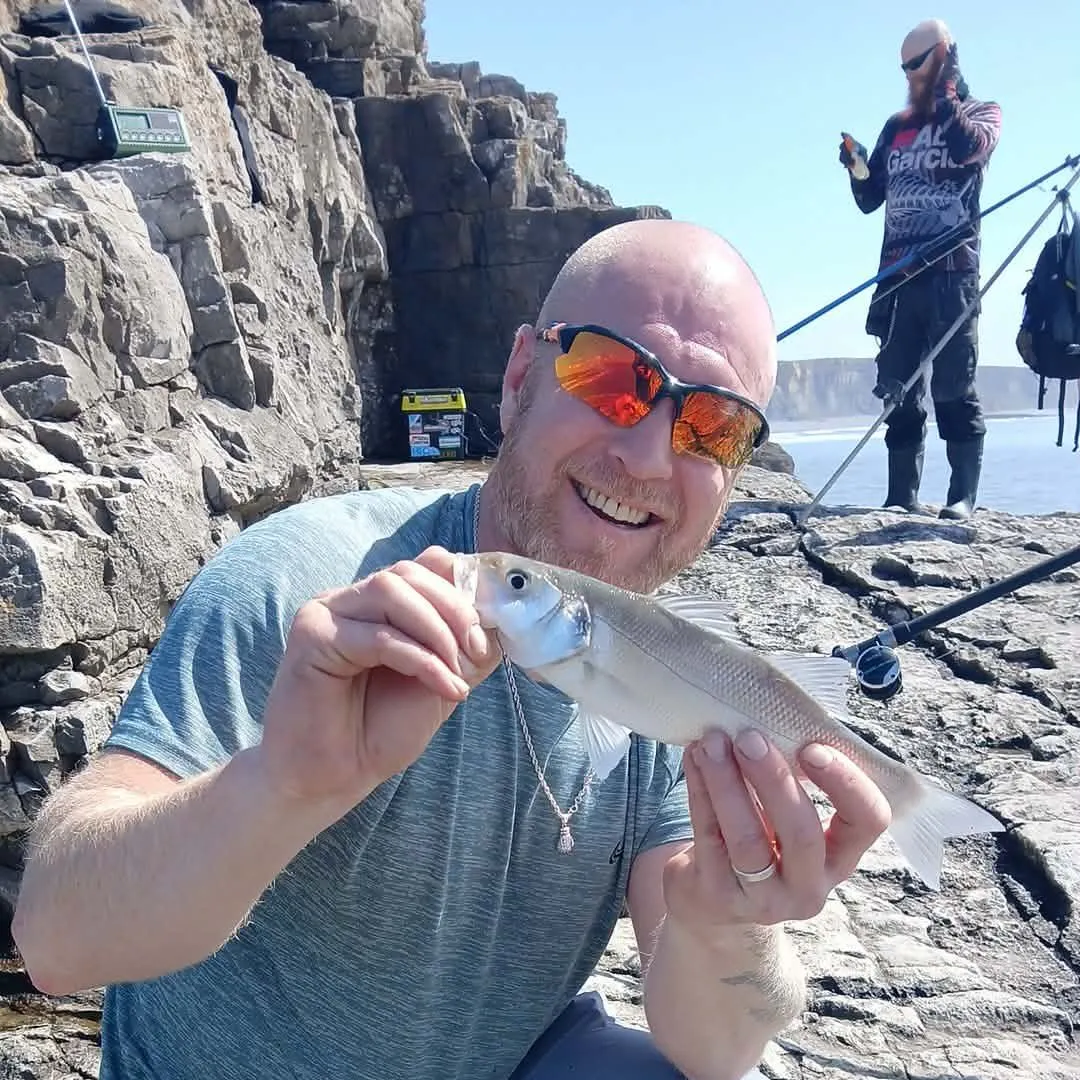The most recent European seabass catches on Fishbrain