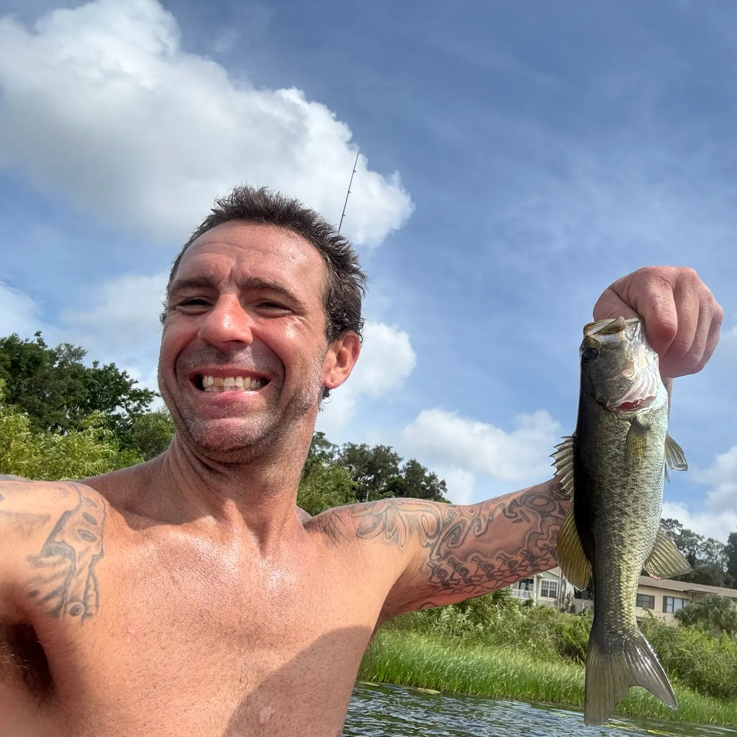 Largemouth bass caught on Fishbrain
