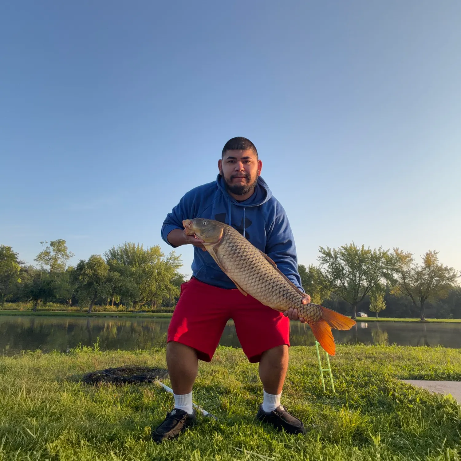 Common carp caught on Fishbrain