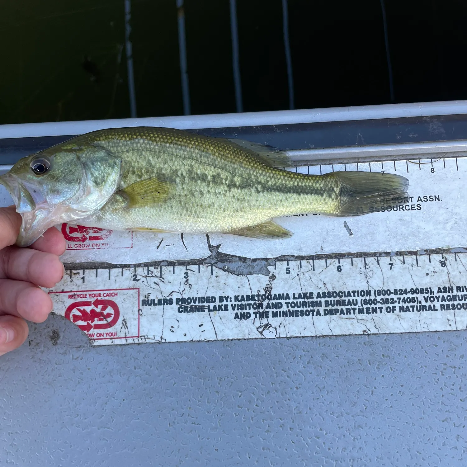 recently logged catches