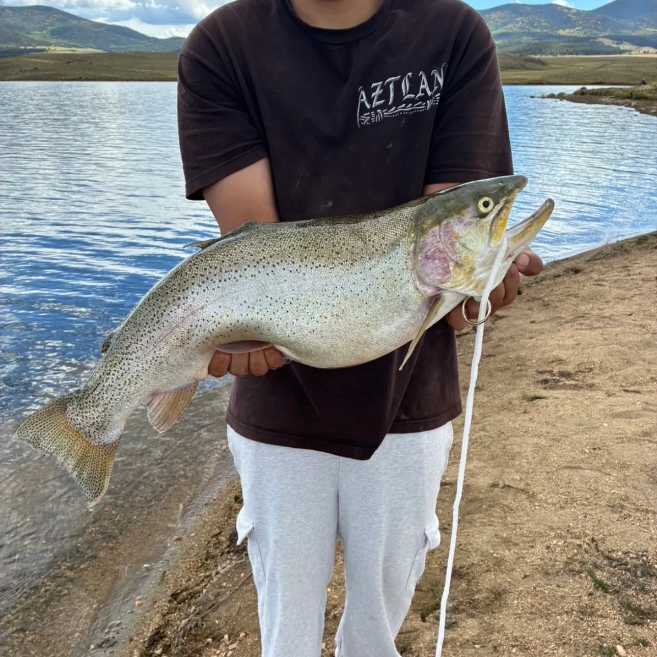 Cutbow caught on Fishbrain