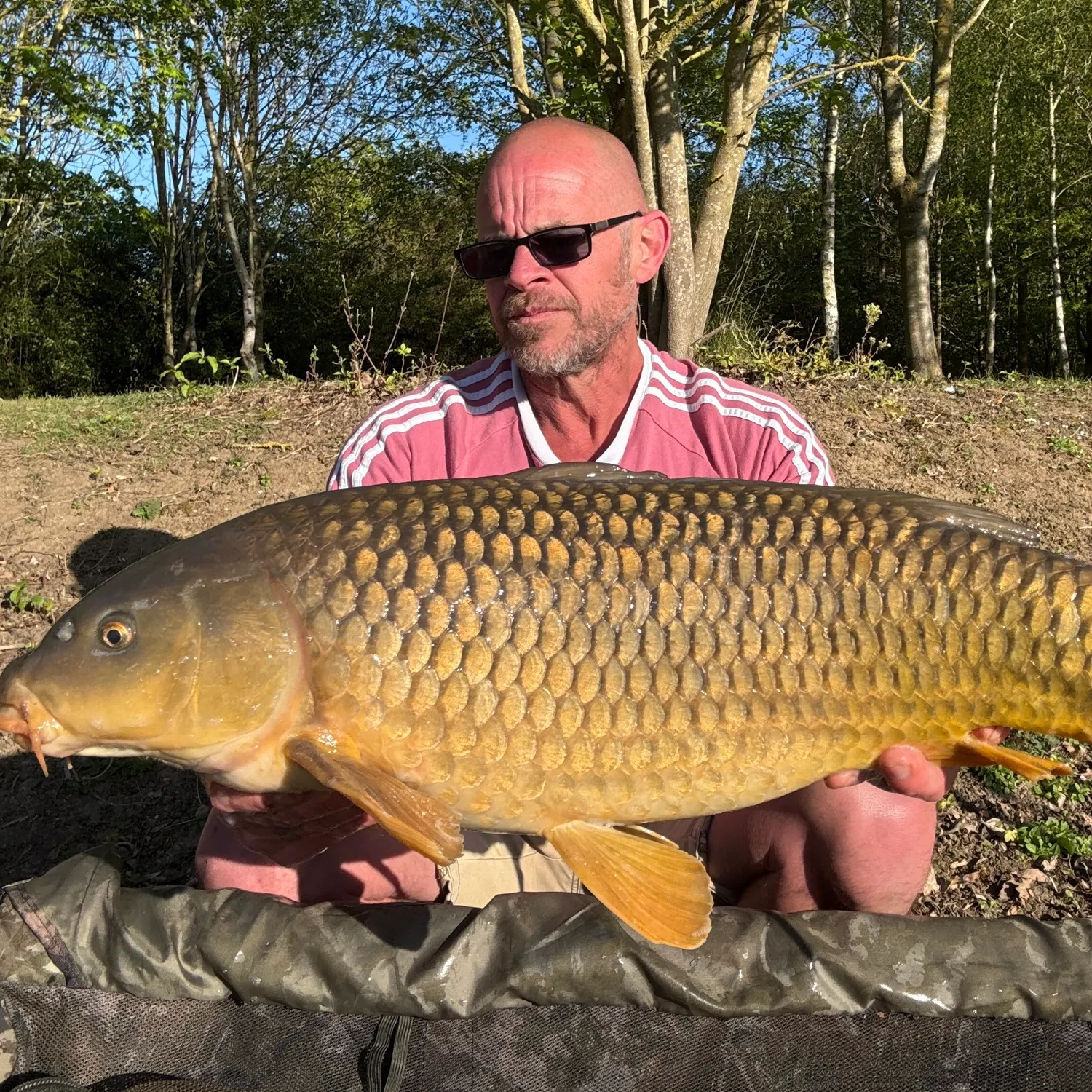 The most recent Common carp catches on Fishbrain