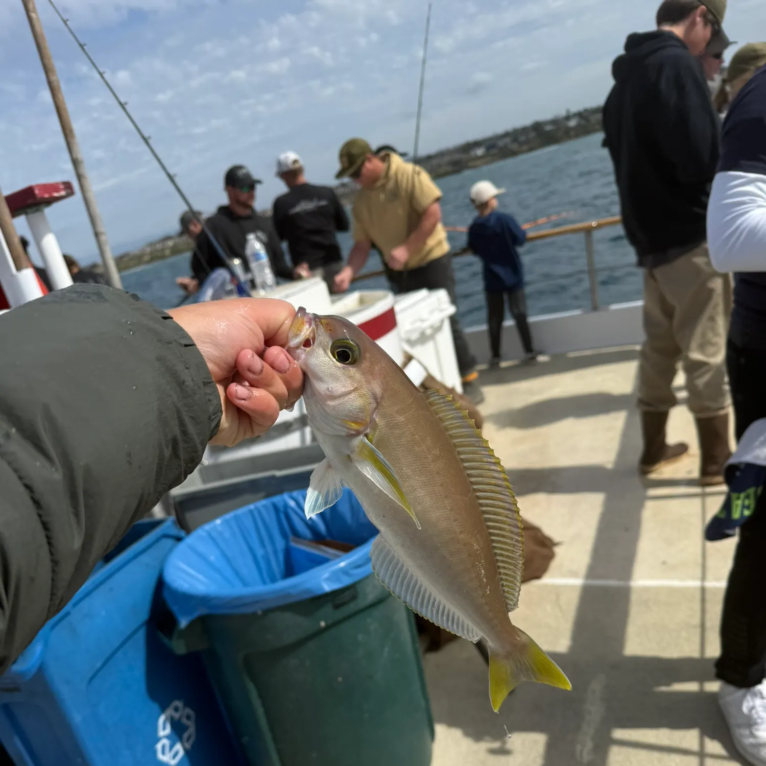 The most recent Ocean whitefish catches on Fishbrain