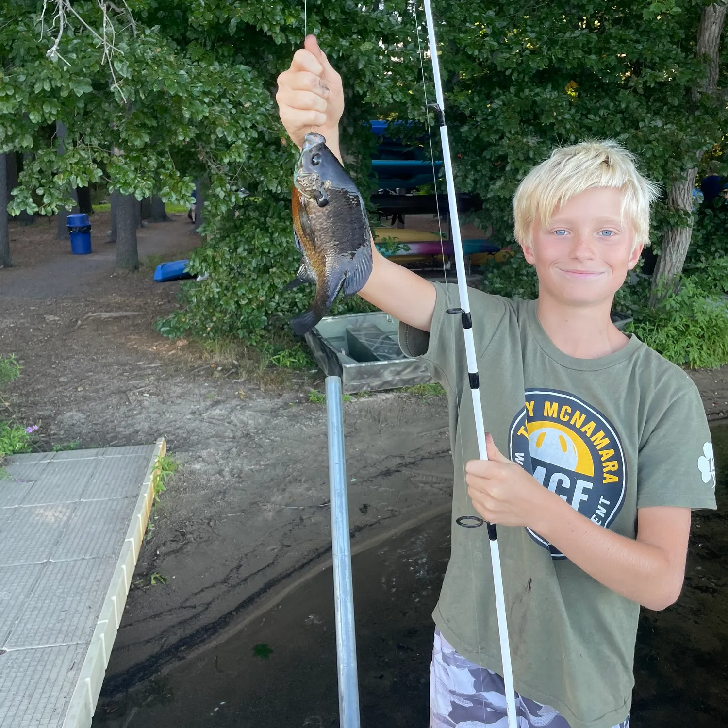 Bluegill caught on Fishbrain