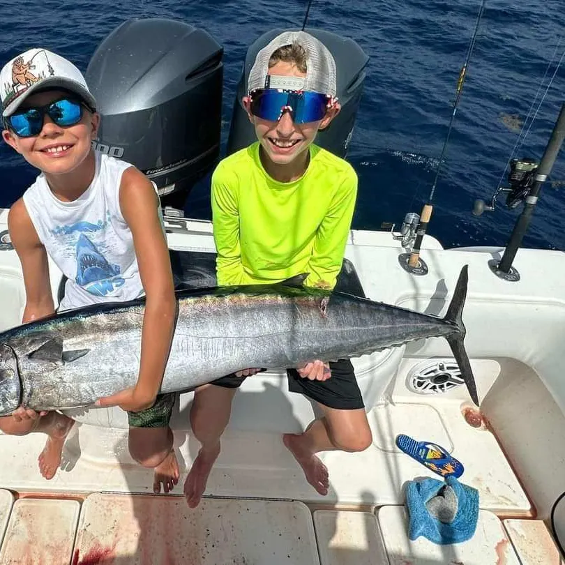 The most recent Wahoo catches on Fishbrain