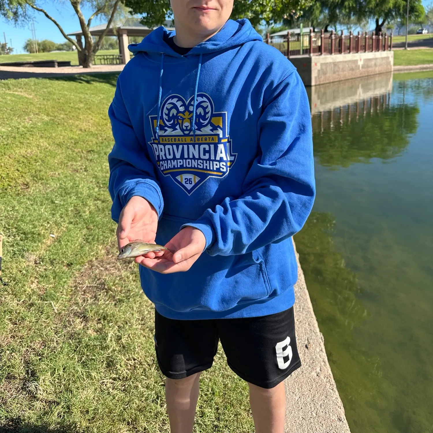 Bluegill caught on Fishbrain