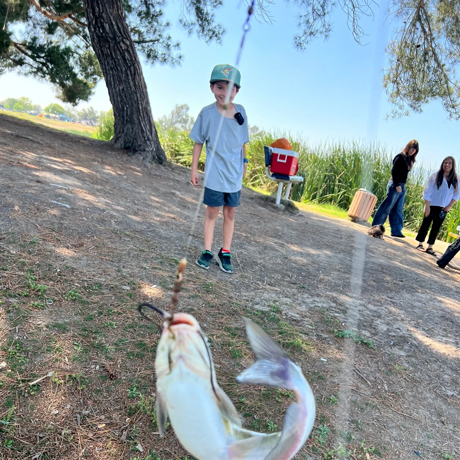 catch