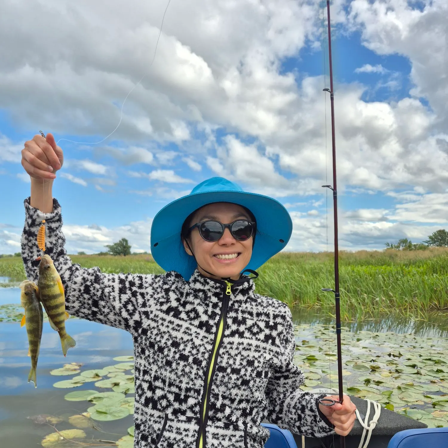 Yellow perch caught on Fishbrain