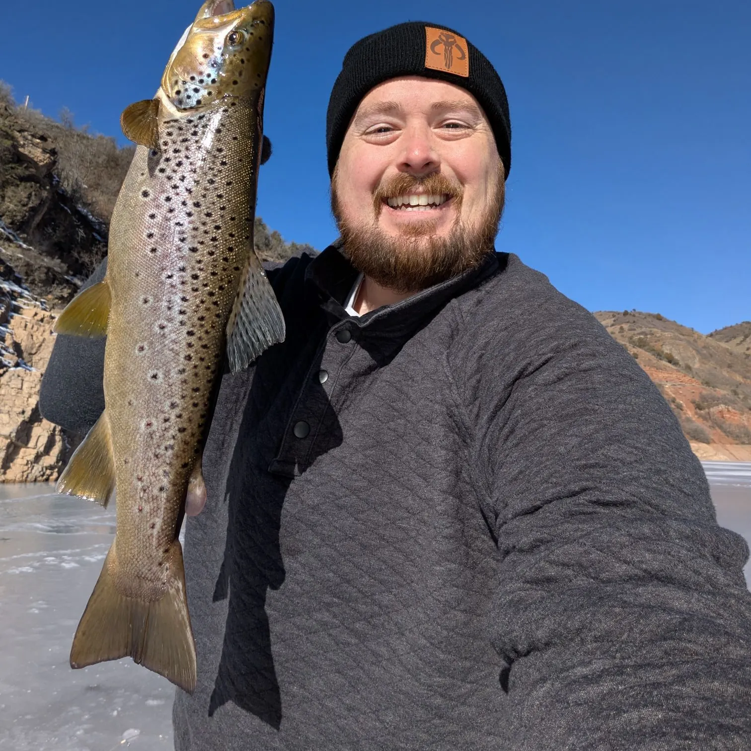 The most recent Brown trout catches on Fishbrain