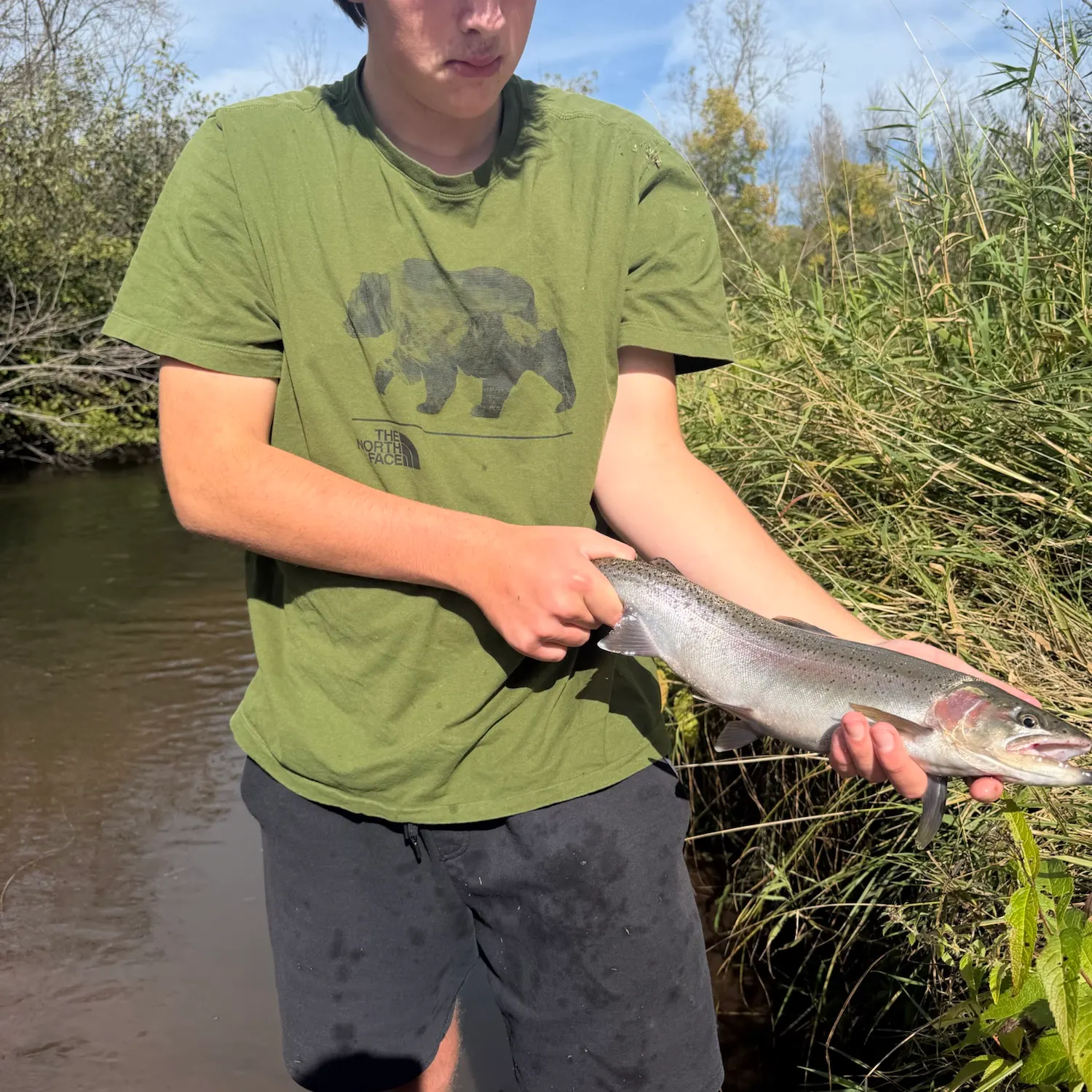 Steelhead caught on Fishbrain