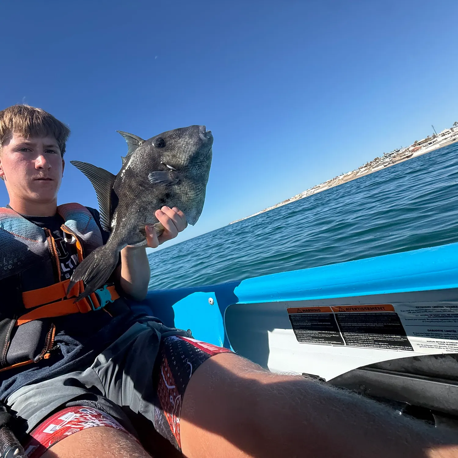 The most recent Finescale triggerfish catches on Fishbrain
