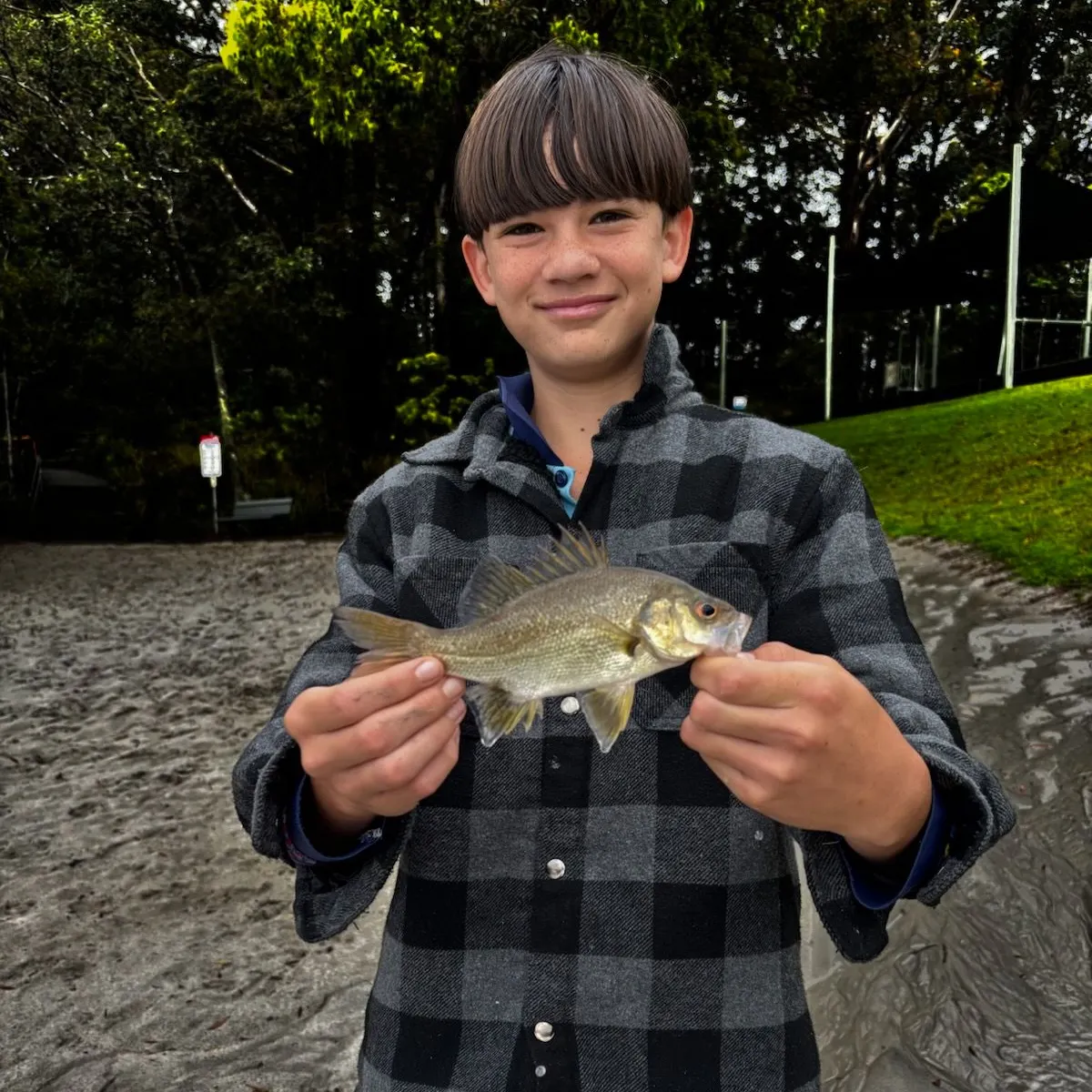 Australian bass caught on Fishbrain