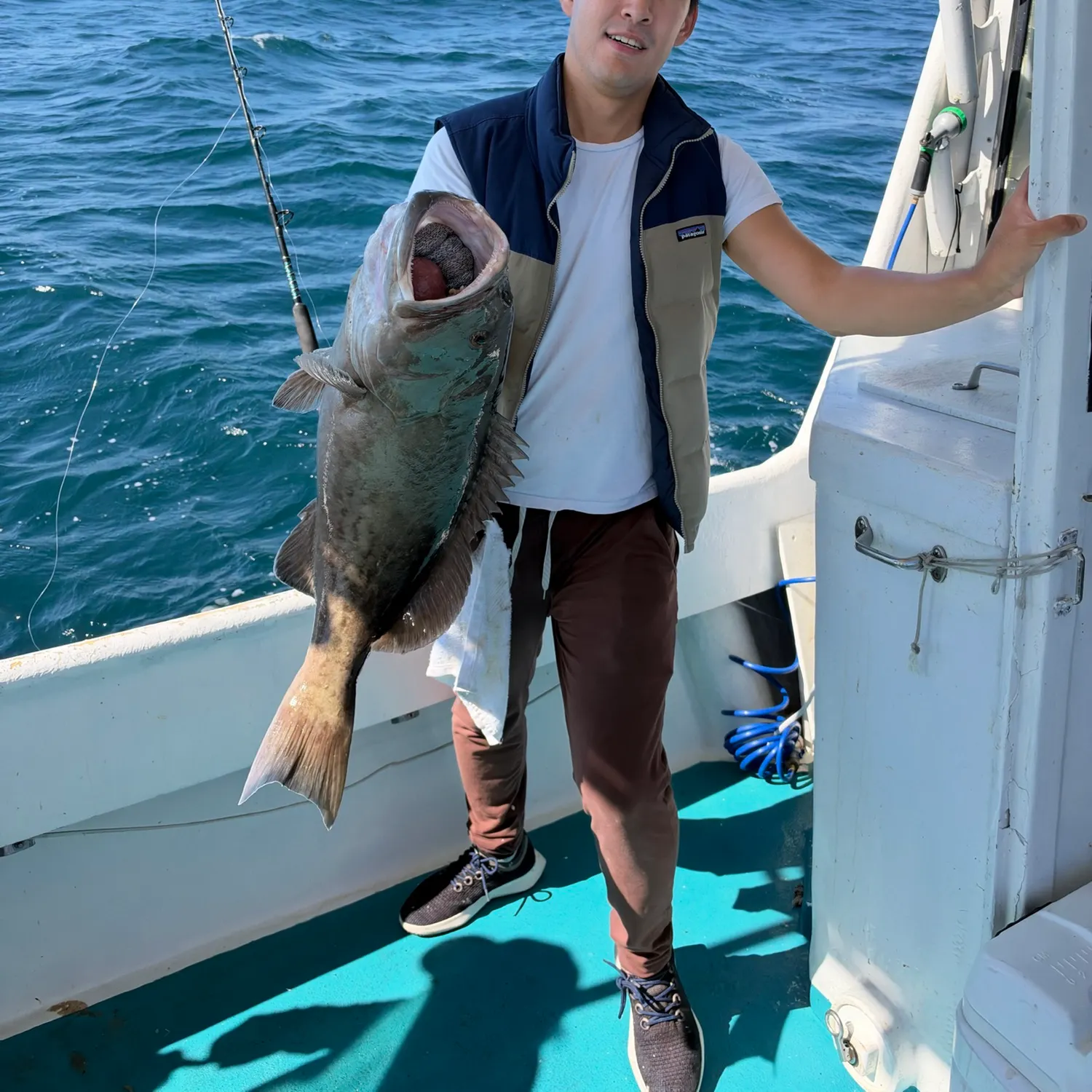 Gag grouper caught on Fishbrain
