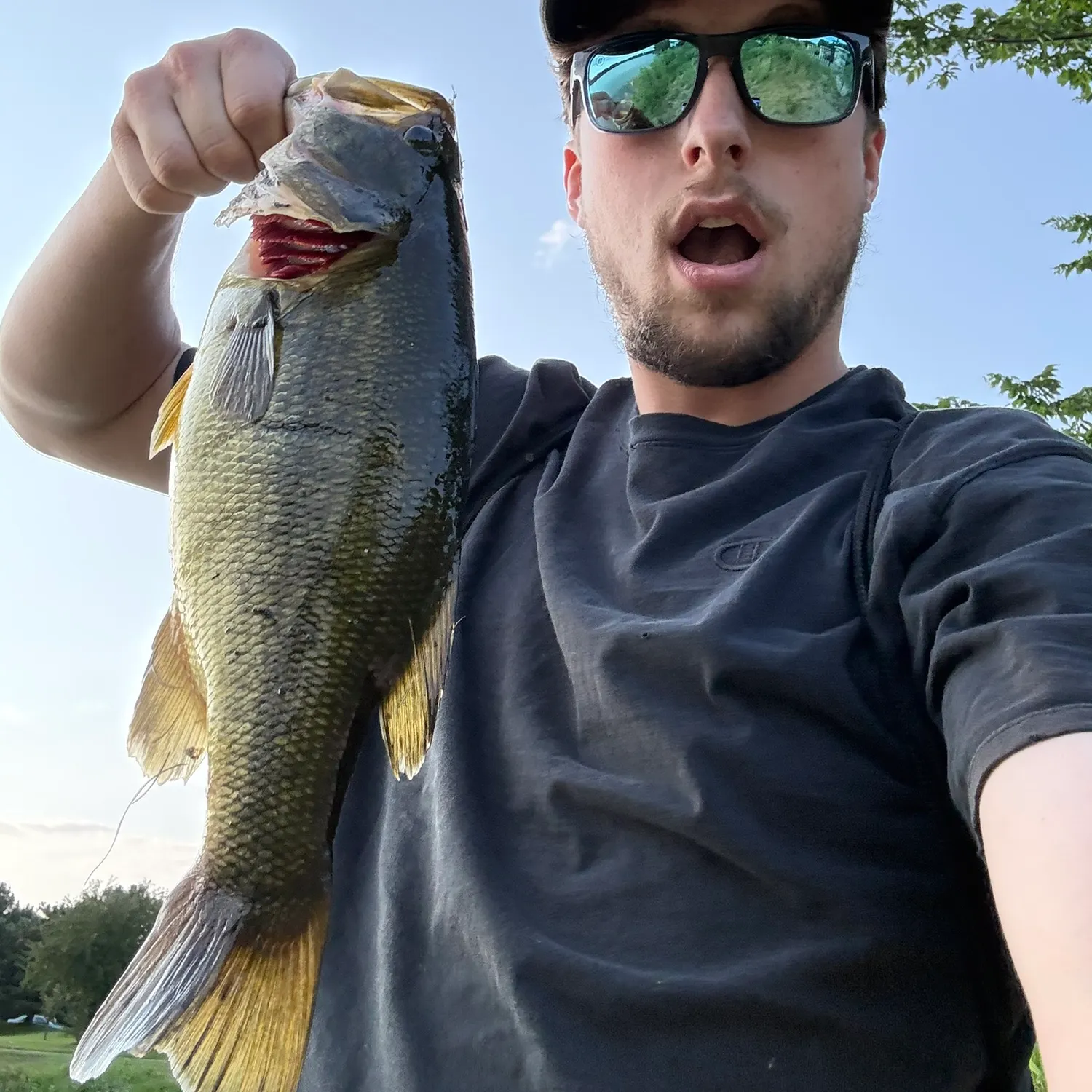 Largemouth bass caught on Fishbrain