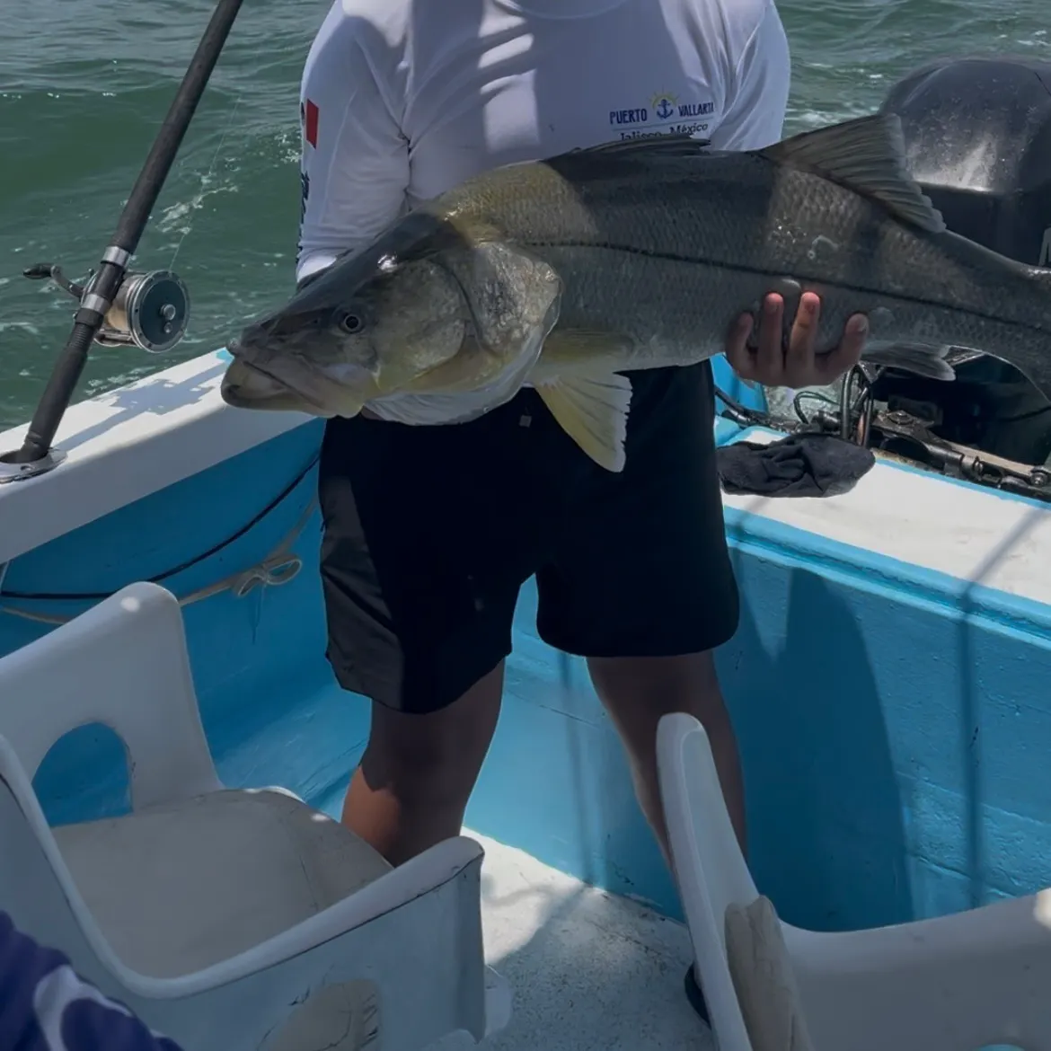The most recent White snook catches on Fishbrain