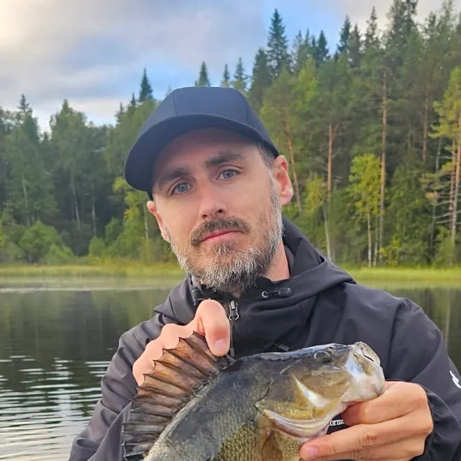 European perch caught on Fishbrain