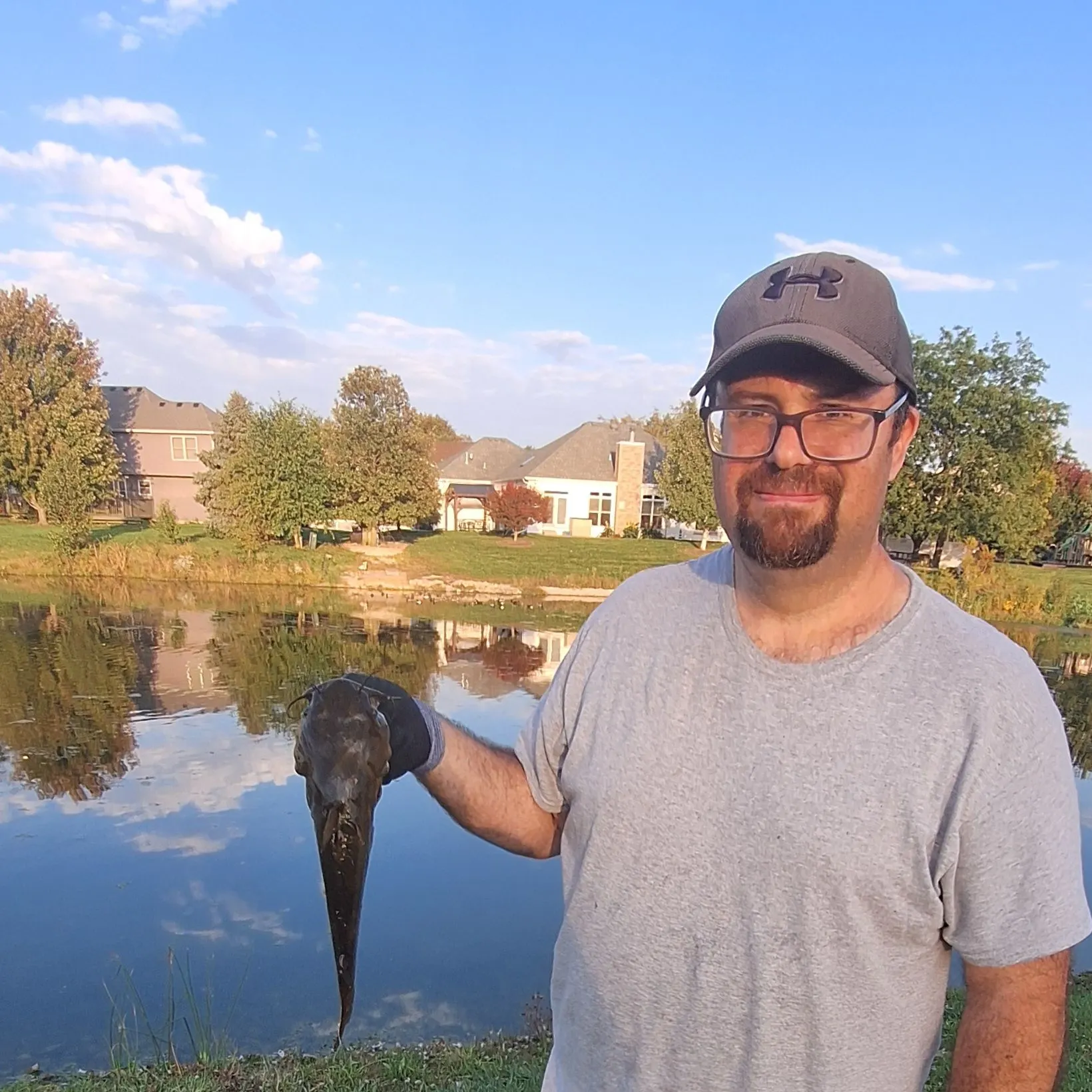 Yellow bullhead caught on Fishbrain