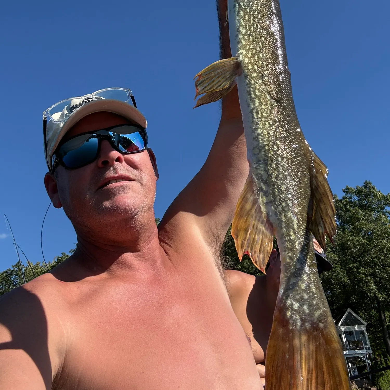 Northern pike caught on Fishbrain
