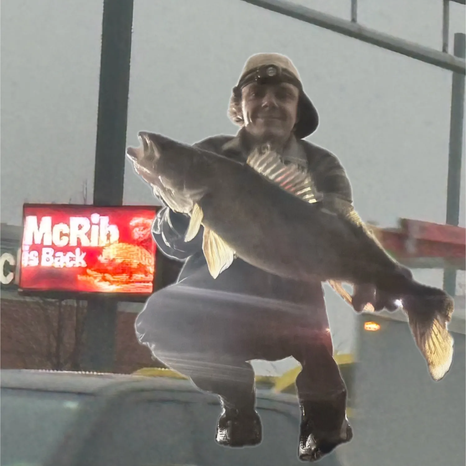 The most recent Walleye catches on Fishbrain