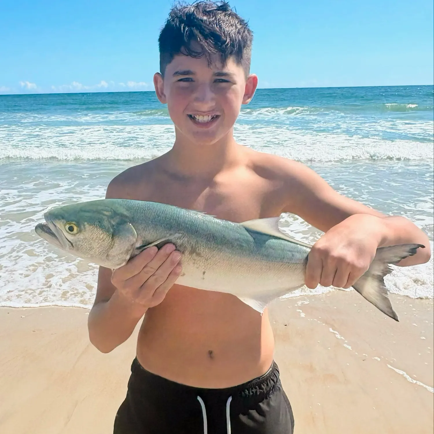 Bluefish caught on Fishbrain