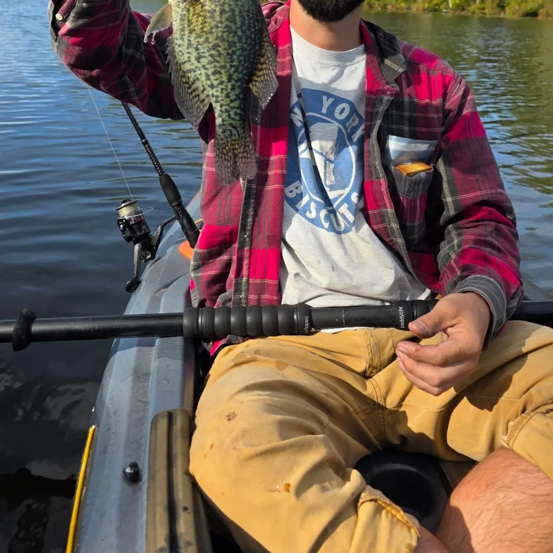 Black crappie caught on Fishbrain