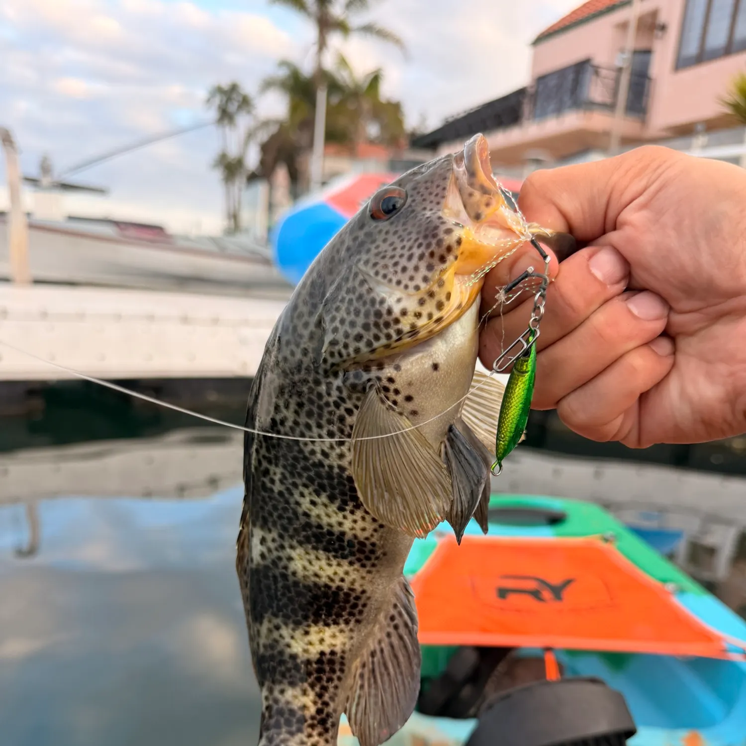 catch