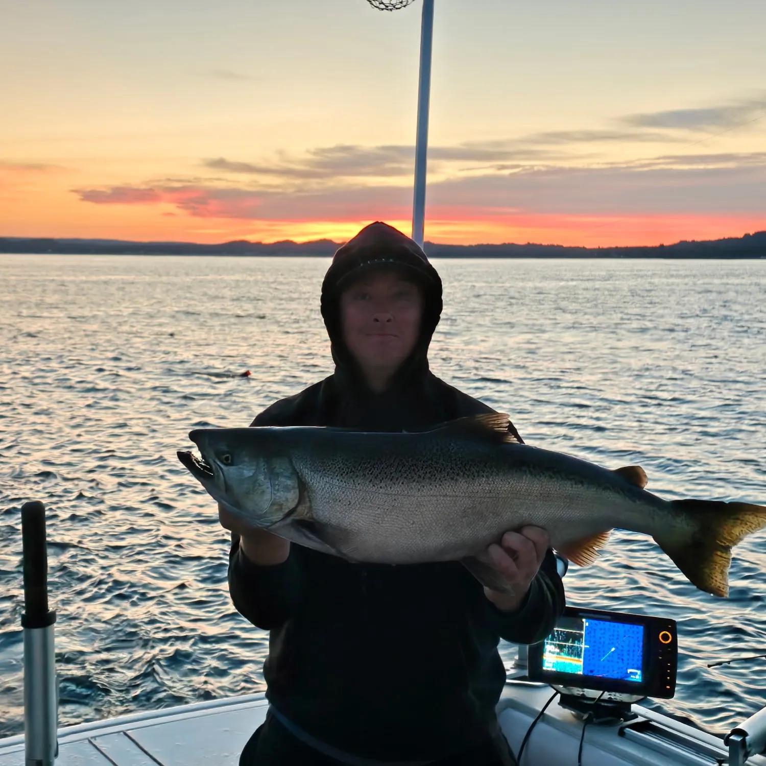 The most recent Chinook salmon catches on Fishbrain