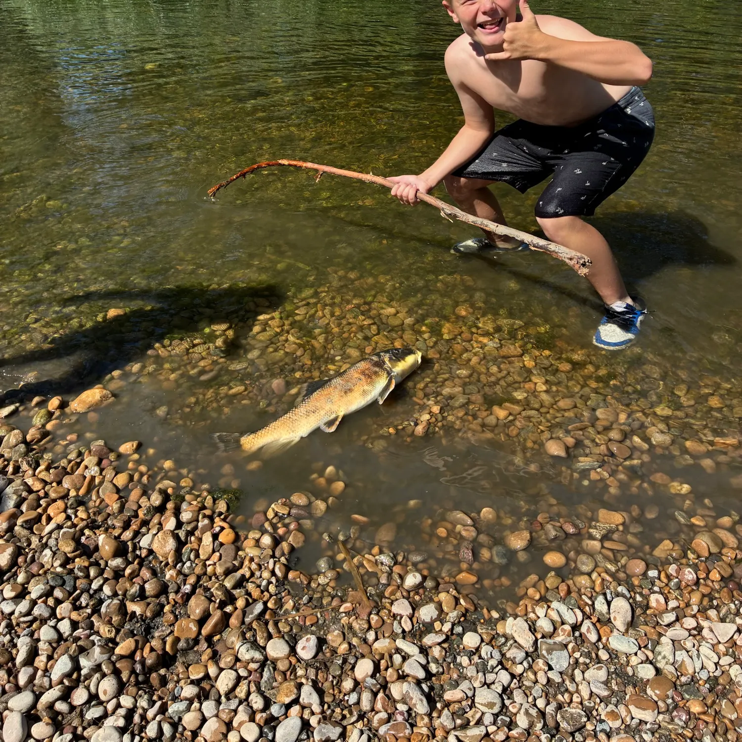 The most recent Bighead carp catches on Fishbrain