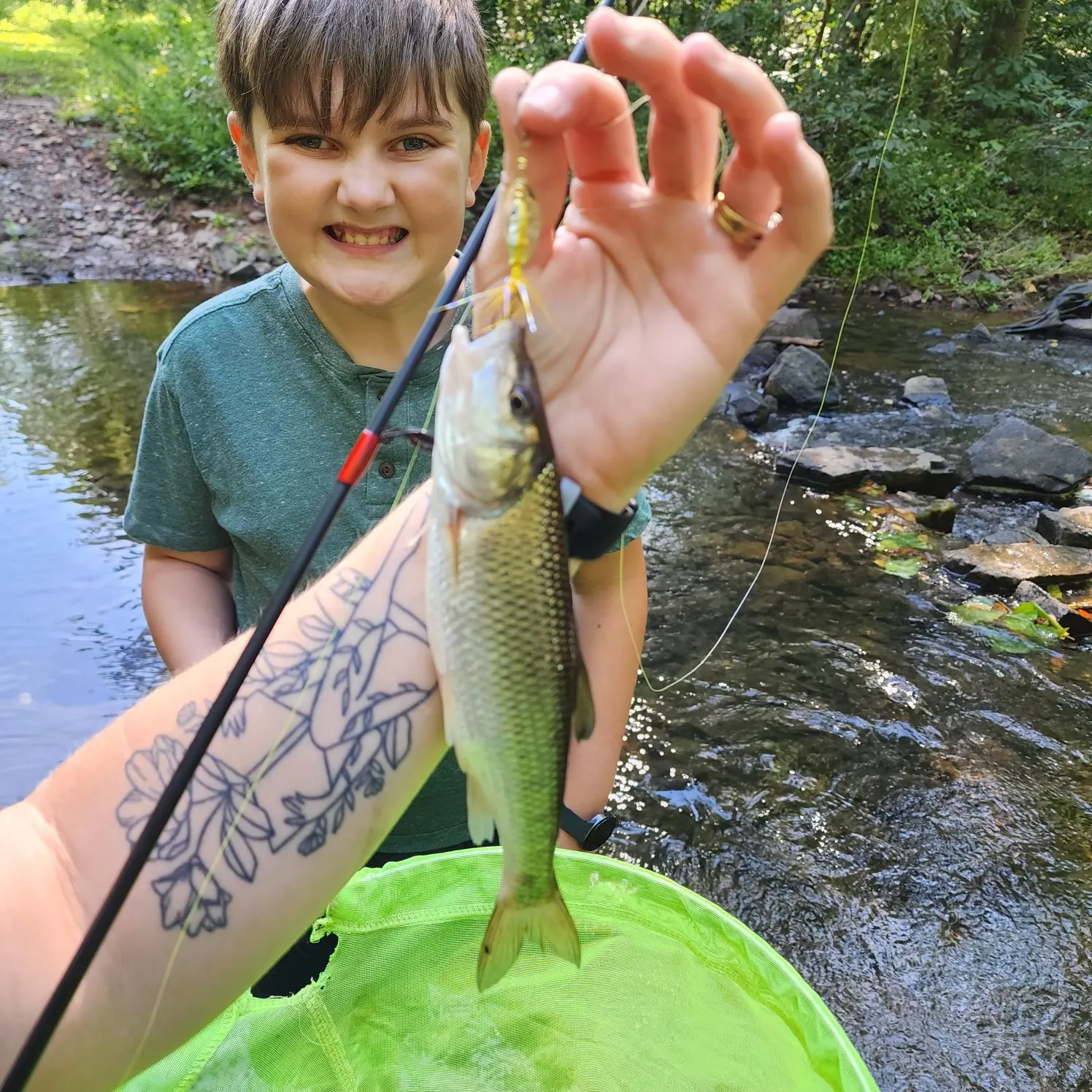 Fallfish caught on Fishbrain