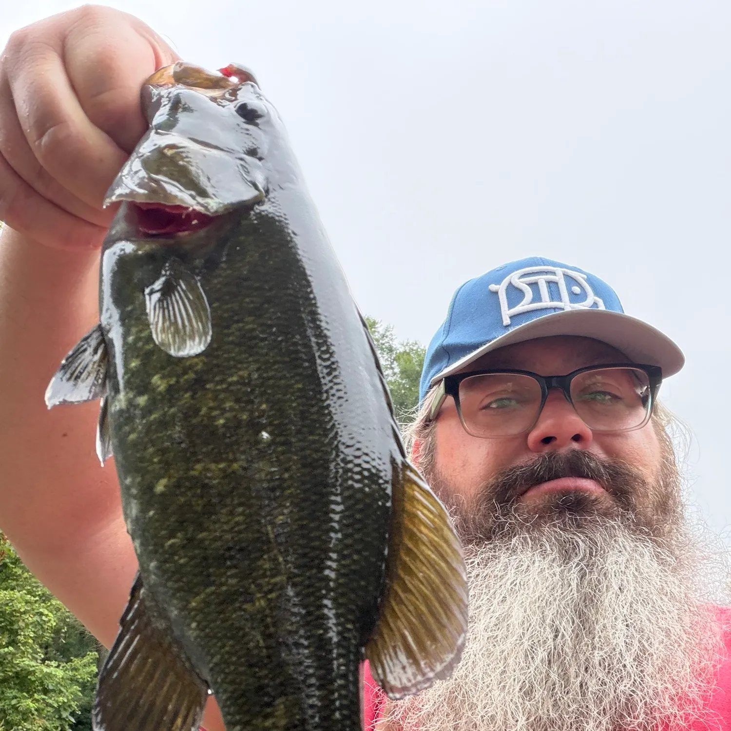 Smallmouth bass caught on Fishbrain