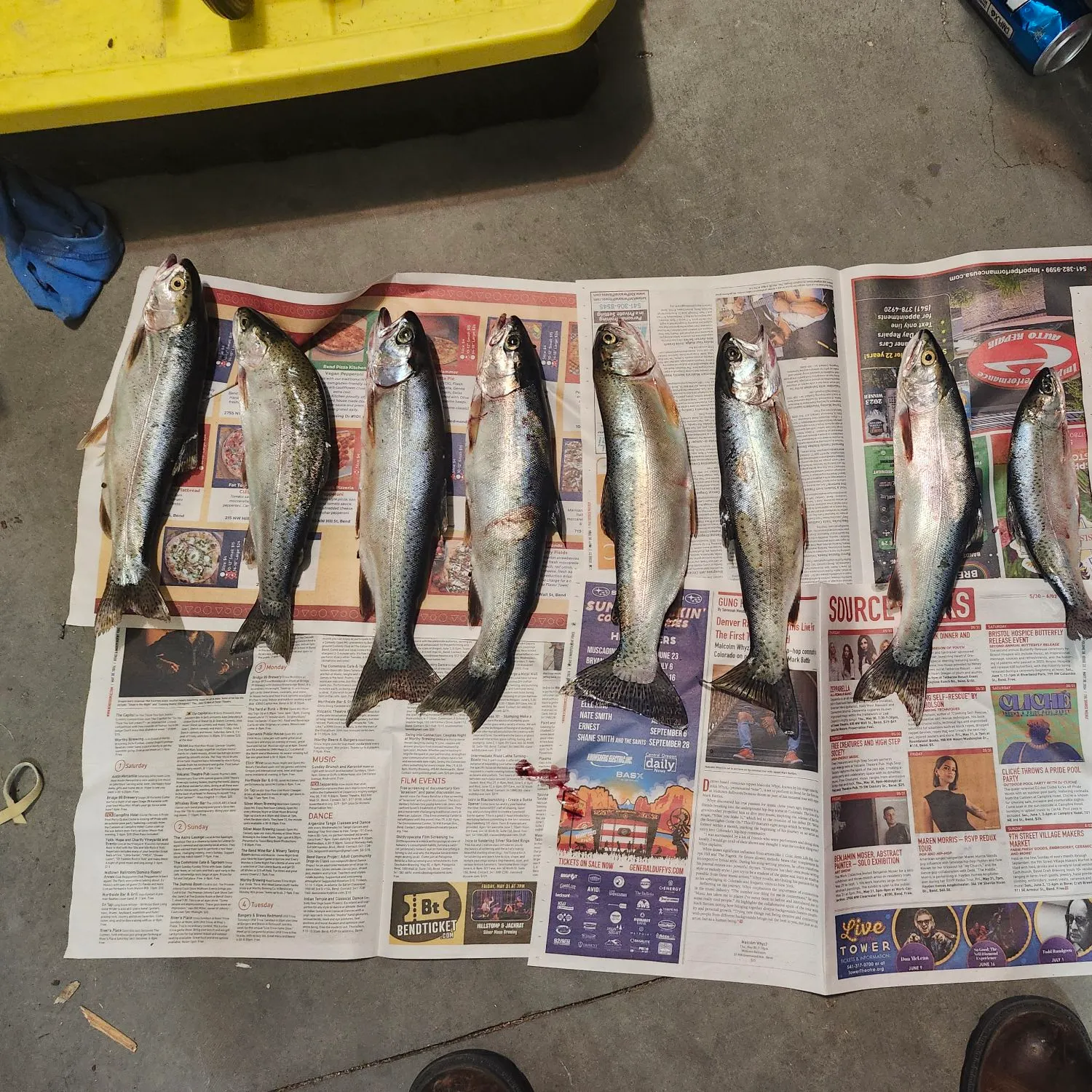 recently logged catches