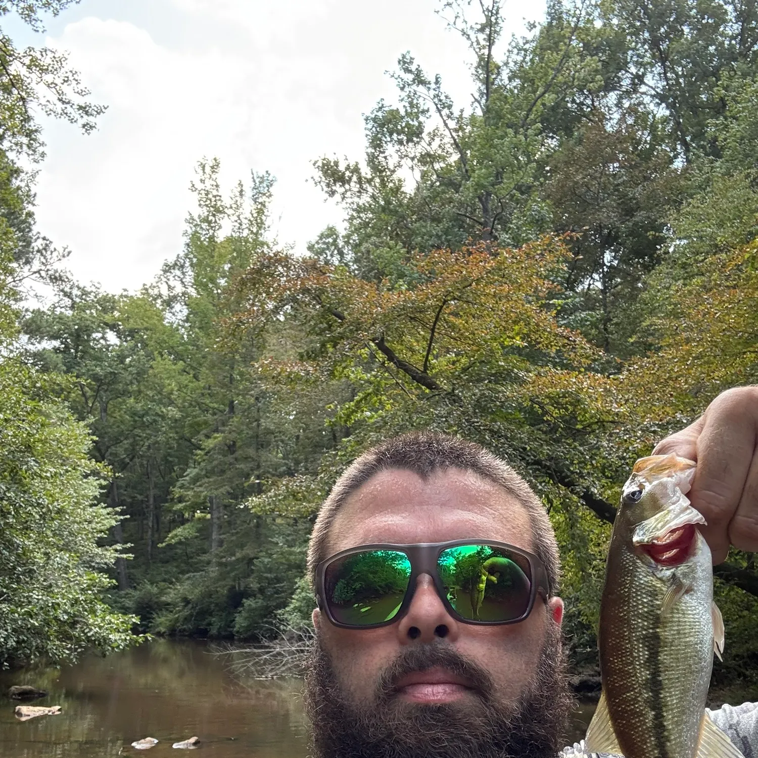 Spotted bass caught on Fishbrain