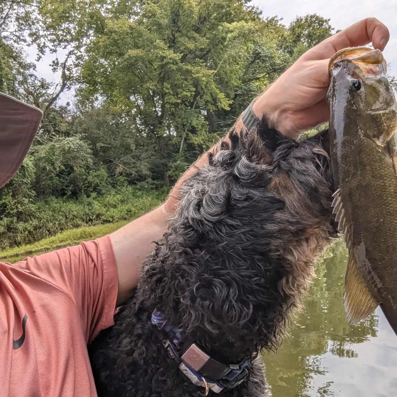 Smallmouth bass caught on Fishbrain