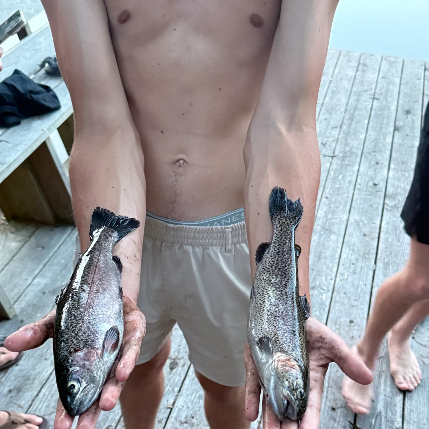 Rainbow trout caught on Fishbrain