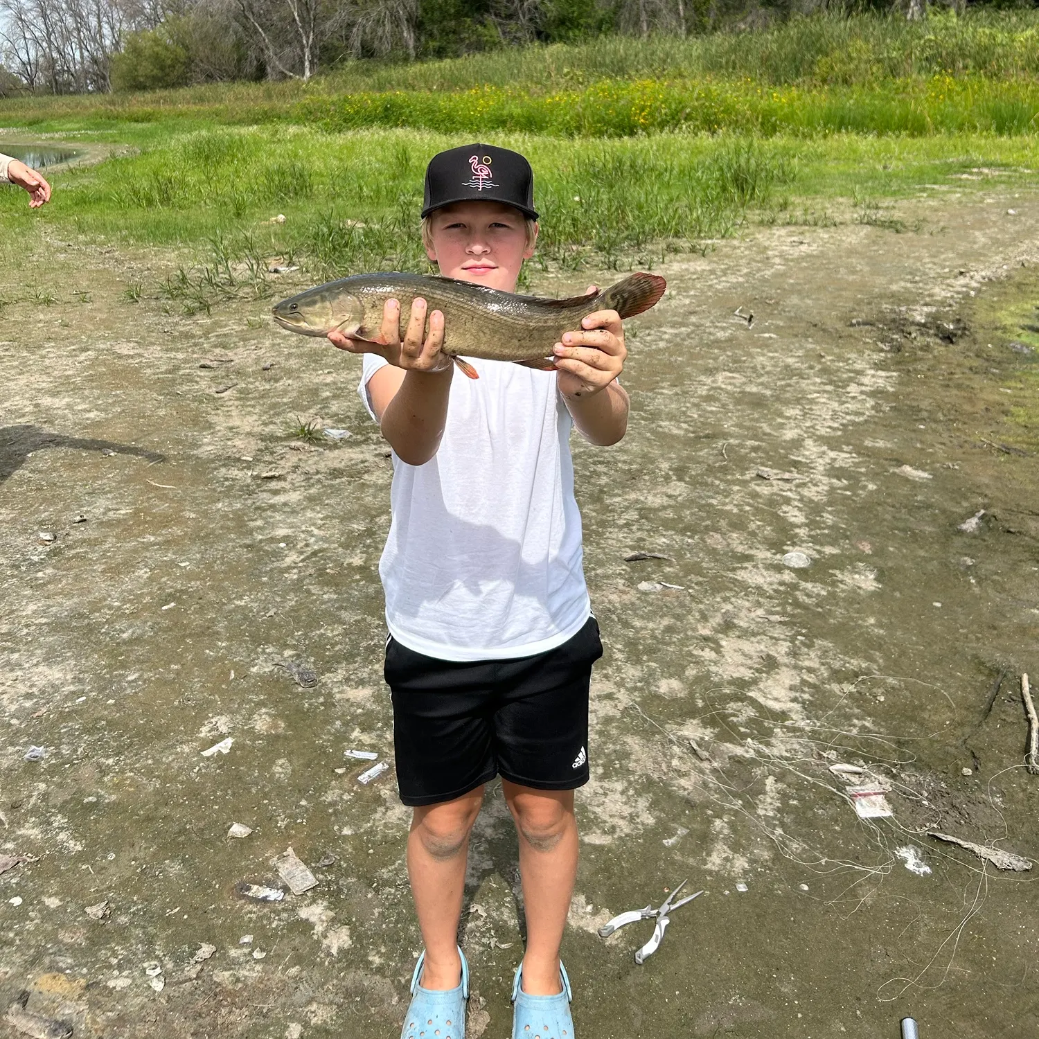 Eyetail bowfin caught on Fishbrain