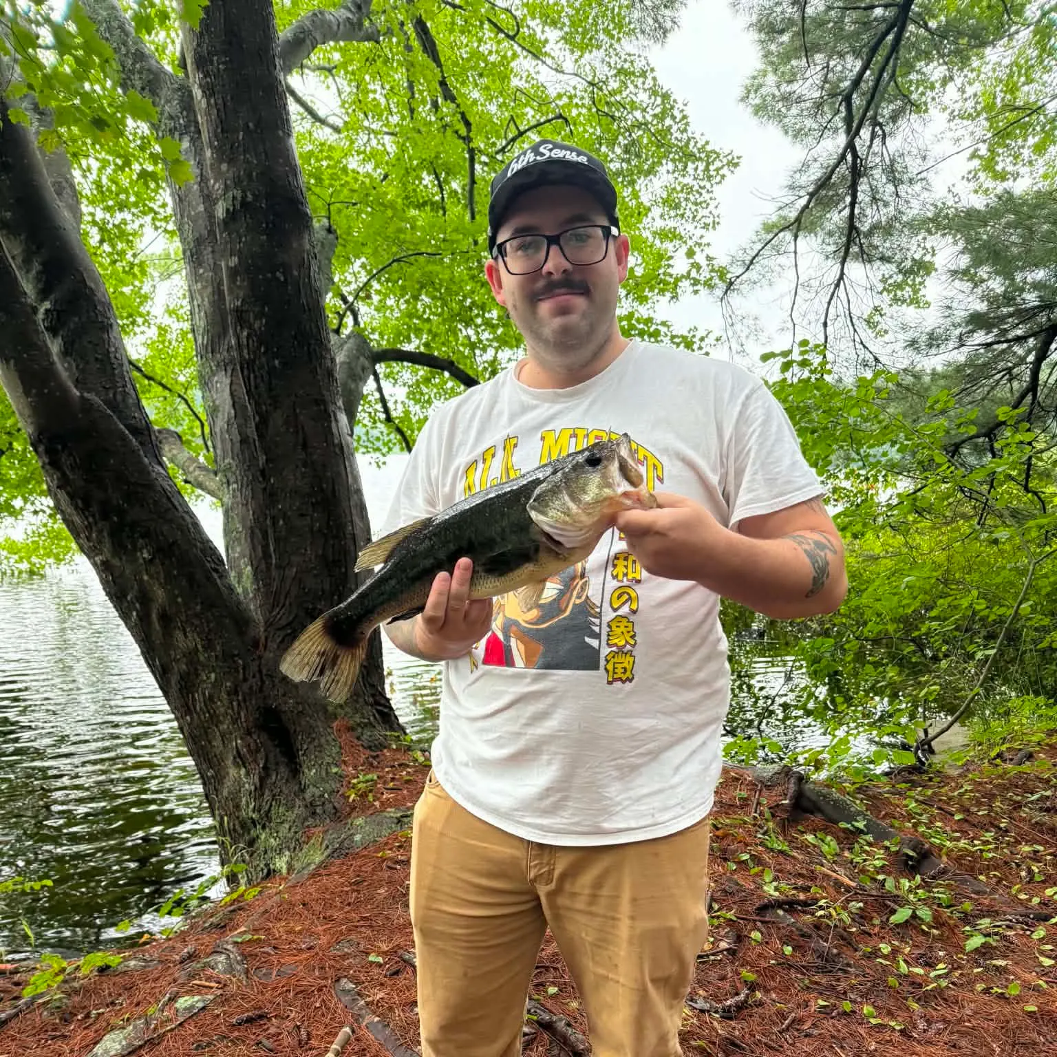 Largemouth bass caught on Fishbrain