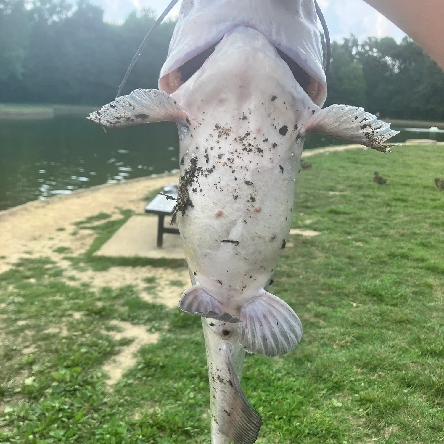 catch