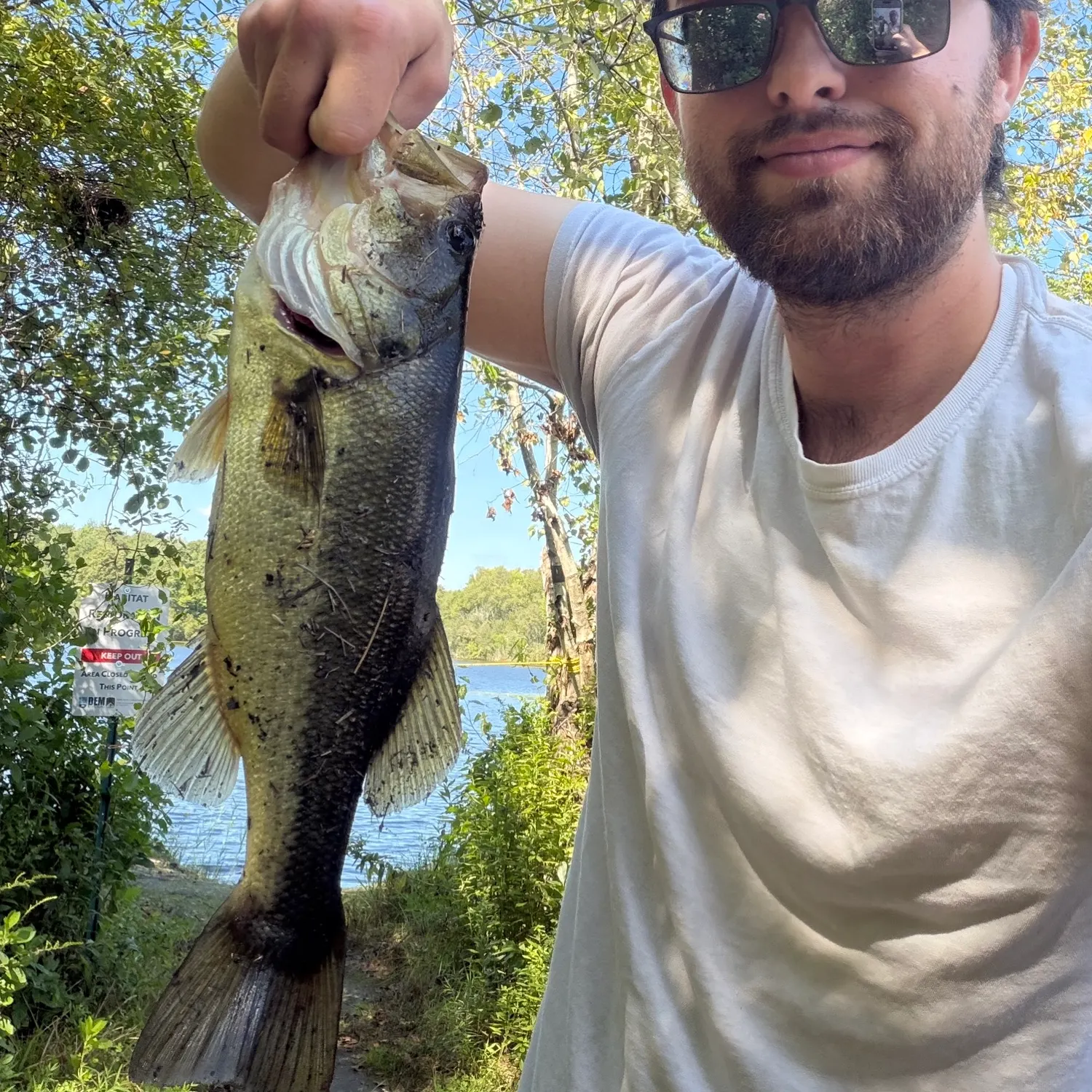 Largemouth bass caught on Fishbrain